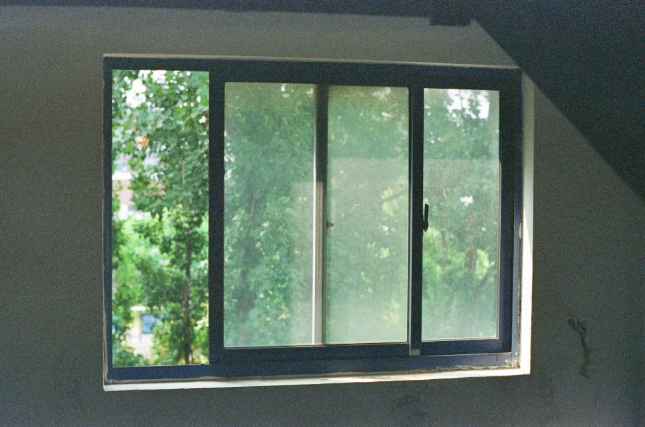 A window with a view of green trees outside.